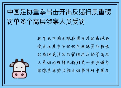 中国足协重拳出击开出反赌扫黑重磅罚单多个高层涉案人员受罚